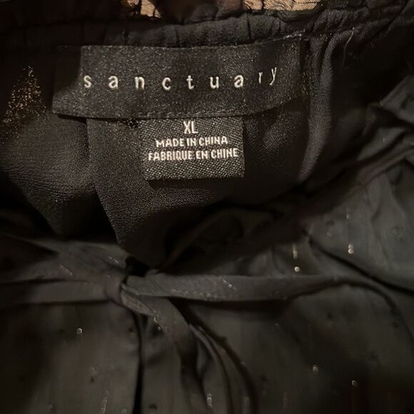 Sanctuary szXL black sheer LS blouse ties at neck Swiss dots/silver threads EUC - Picture 7 of 9
